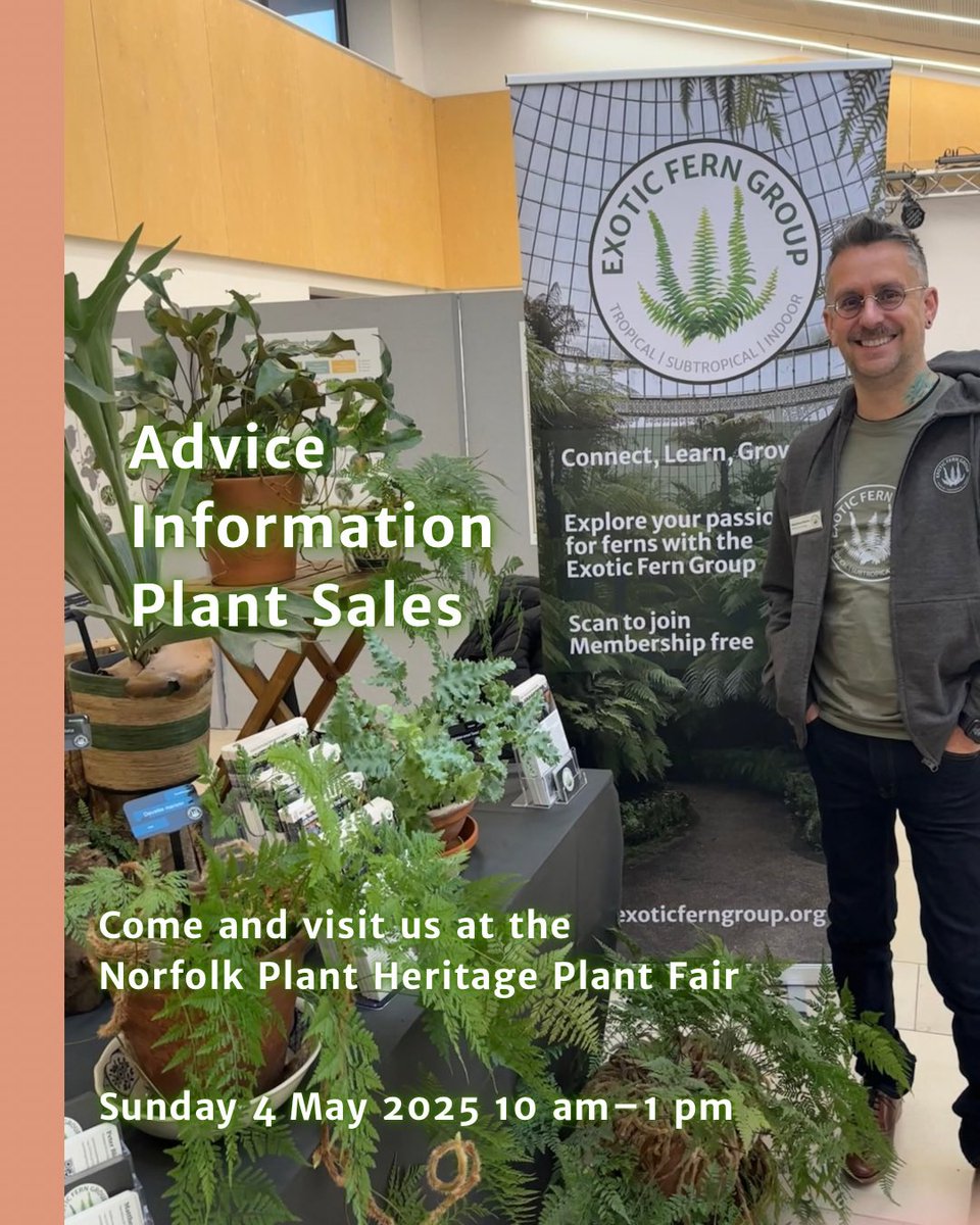 Exotic Fern Group (@exoticferngroup) on Twitter photo 