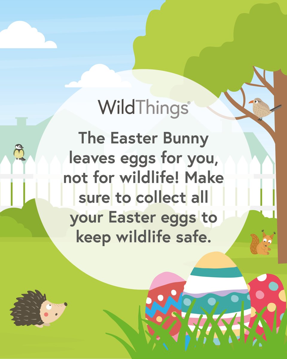 WildThings tweet media