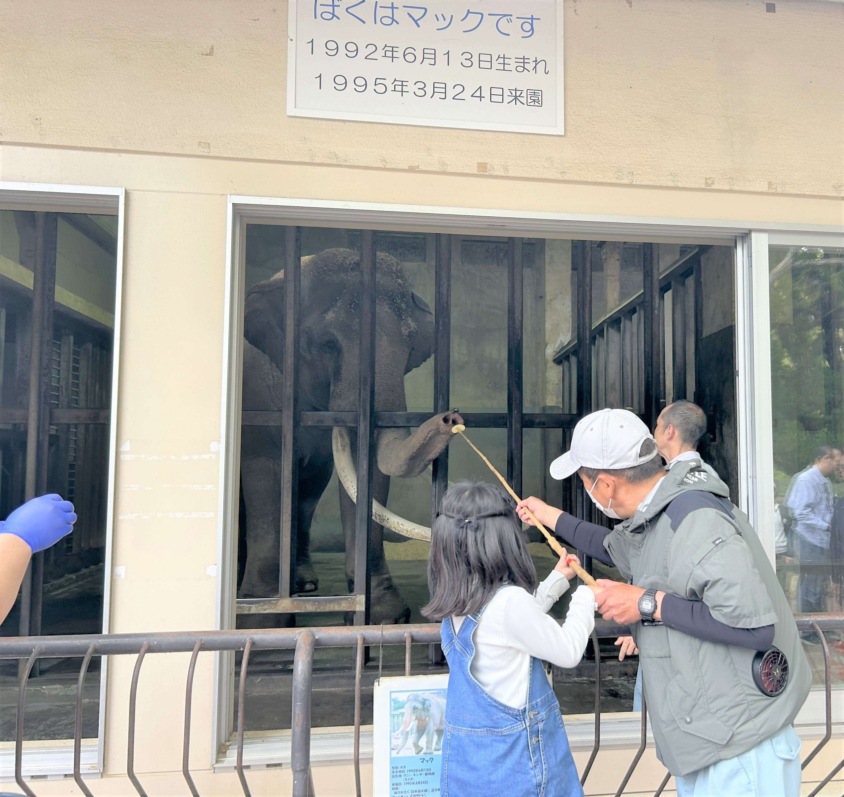 神戸市立王子動物園（公式） (@kobeojizoo) / X