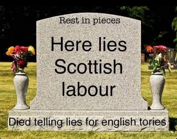 SovereignBain's tweet photo. 🇬🇧🤡💩 https://t.co/WedLqcNLzG