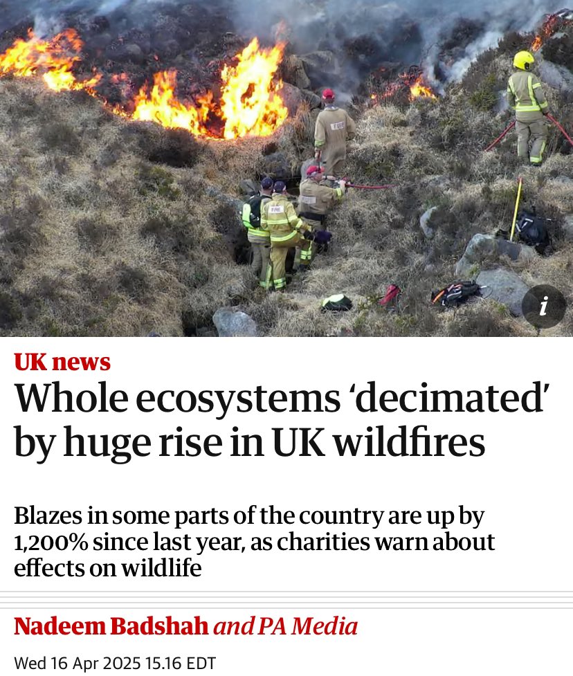 ClimateDad77's tweet photo. We need to break from this death spiral of numbness, apathy &amp; soullessness. 

We must resurrect empathy, humility &amp; our humanity - devote our lives to restoring and adapting our world into one where life - not least our own - might just get a chance to survive &amp; thrive. https://t.co/lv1IvsR6dn