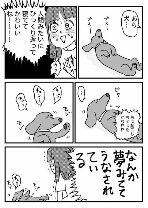 おねんね犬
【再掲】 