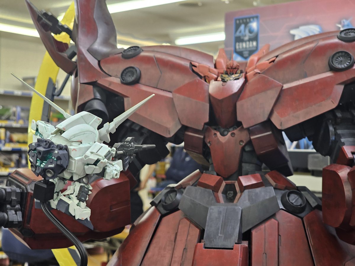 キッズウォーカー宮古店 (@kidswalkerM) / Posts / X