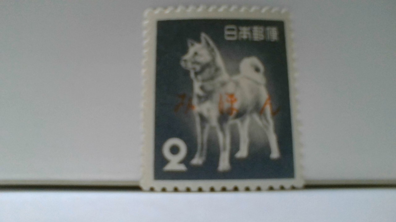 古書15巻セット 古書十五時の犬 (@15oclockdog) / X
