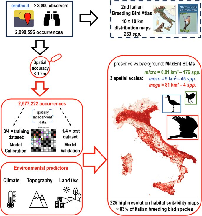 migrans's tweet photo. High-resolution habitat suitability maps for all widespread Italian breeding bird species @dbiosunito  @nbfc_italy https://t.co/fAIQgk6cbf #ornithology https://t.co/789FgOKjVL