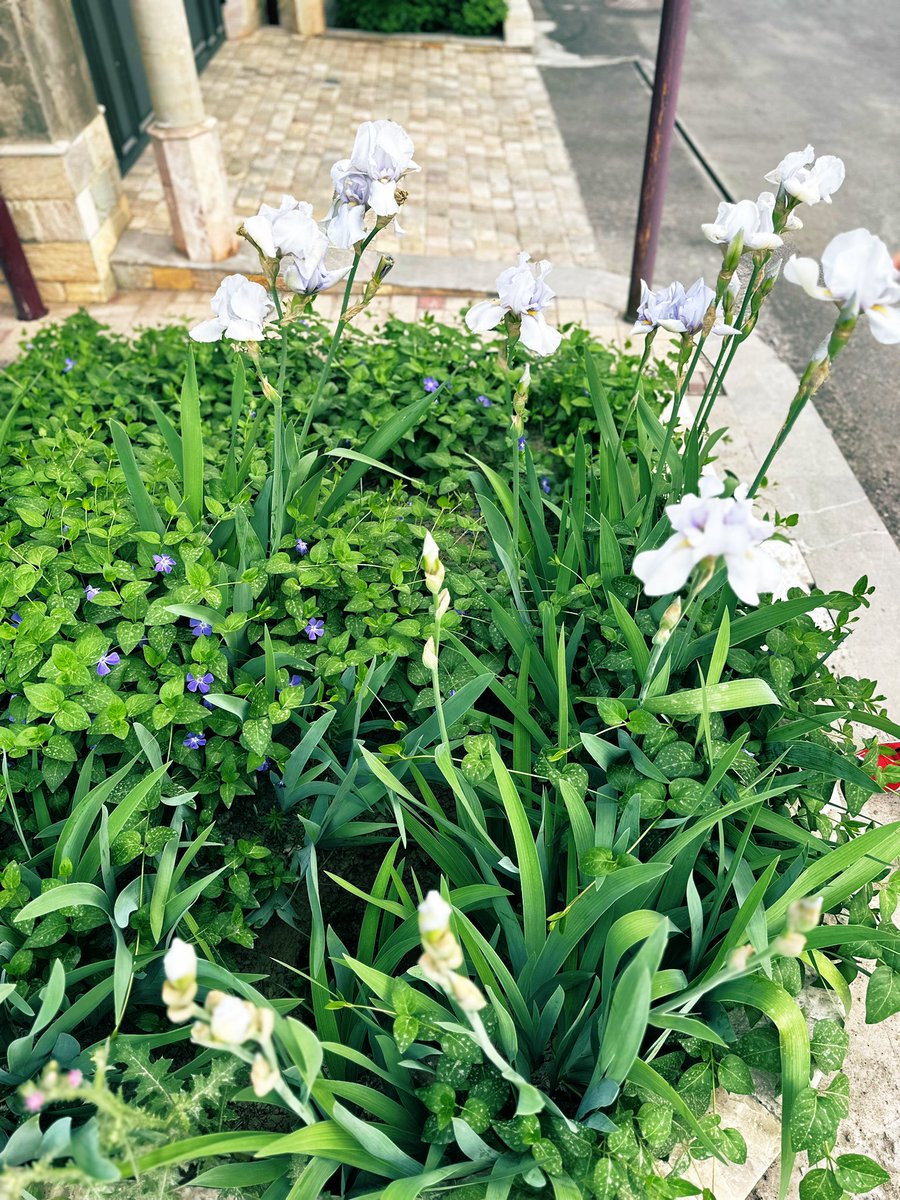 Махалля-гаа тойроод яг 1 цаг алхлаа! Ташкентын захын хороолол гэхэд бас л цэвэрхэн байгаа биз?!