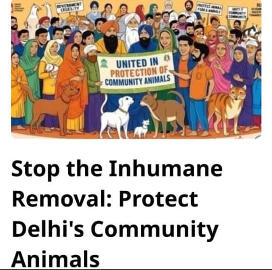 arzziya's tweet photo. #StopKillingAnimals #VoicelessNotForgotten #AnimalJustice #CompassionIsPolicy #UnitedForAnimals #StopAnimalAbuse #ProtectStrays #JusticeForAnimals #AnimalWelfareIndia #FeedingIsNotACrime #AnimalRightsAreHumanRights #BeKindToAnimals #AnimalRescueMatters #StandForStrays https://t.co/OxdgljHoYZ