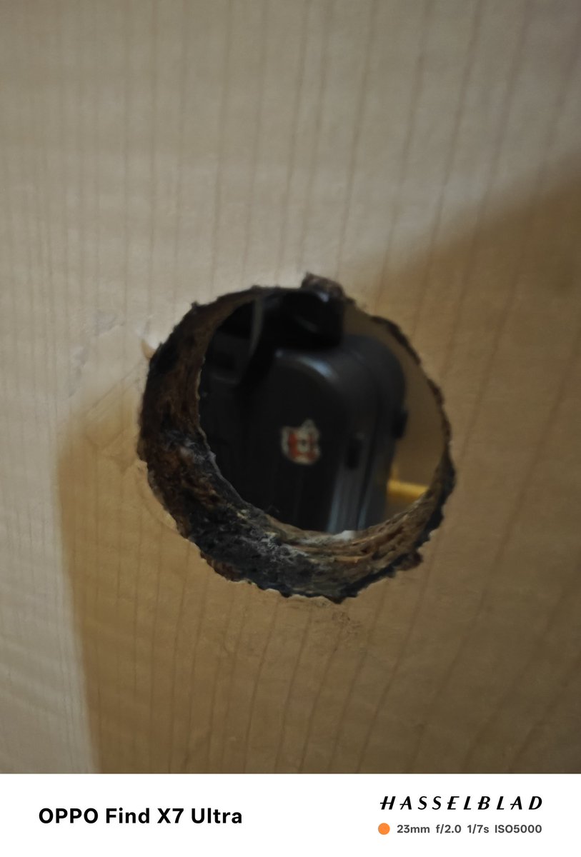 人在旅途，未来可期。#无锡鸟洞