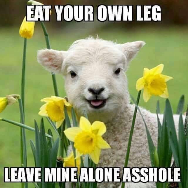 Happy Easter punkrockers