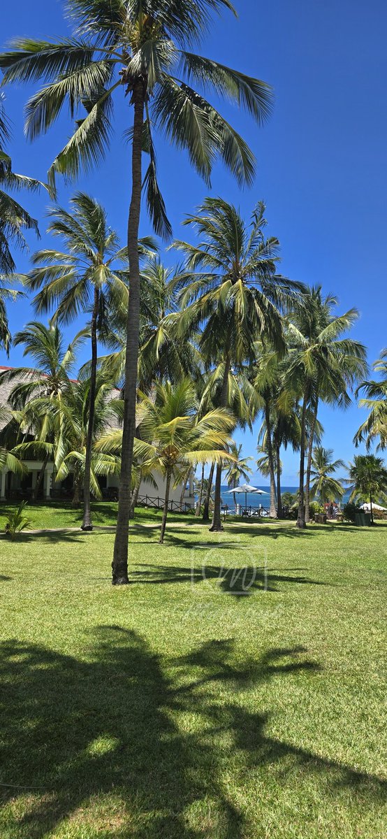 Good afternoon!
Got a similar tropical view to share?