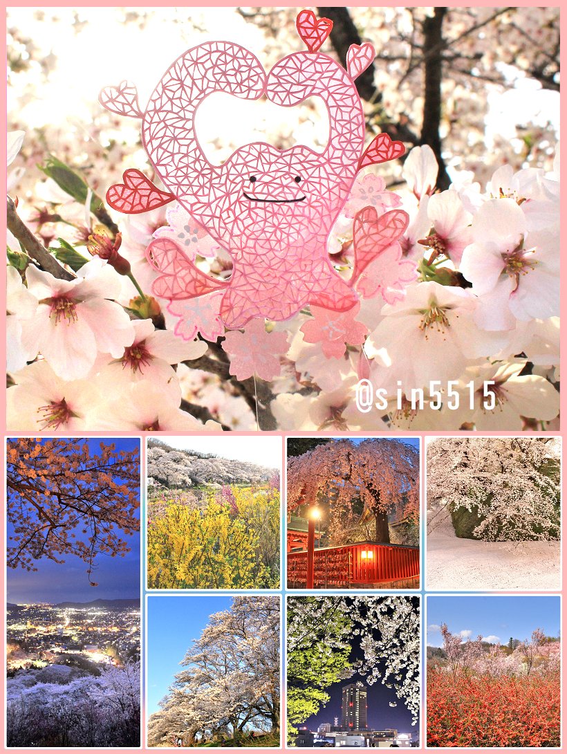 切り絵のメタモンと桜
ポケGOのステッカーポーズ
土日は友達と各地の花見！福島の花見山、一目千本桜、船岡城址公園、山形の霞城公園など
#切り絵