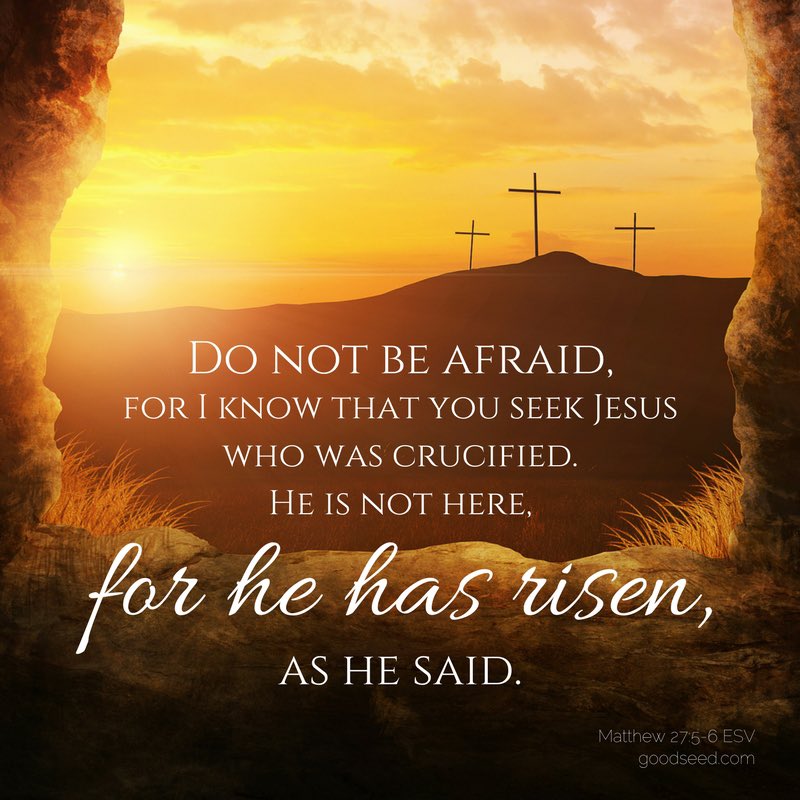 NermineGhaleb's tweet photo. Jesus has risen… Happy Easter 🙏🏽
#Easter2025 #EasterSunday https://t.co/cQKtXg9Bk9