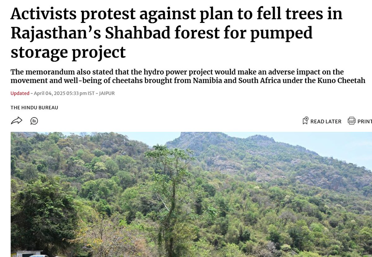 dilthi_gujarati's tweet photo. 🌳 Protect Wildlife Habitats from Encroachment & Poaching
Forests are vanishing. Wildlife is cornered.
🌱 Ecosystem balance is breaking — biodiversity is dying.
🛑 Enforce anti-encroachment laws. Punish poachers. Rewild the wild.
#SaveForestsSaveLives
#DelhiRising #RightToCoExist #SaveAnimalsSaveForests #StopAnimalCruelty #StopDeforestation #HumanMenace #NaturesRevenge #AnimalCruelty #AnimalAbuse #AnimalLovers #AnimalWelfare #ClimateChange #climatescam