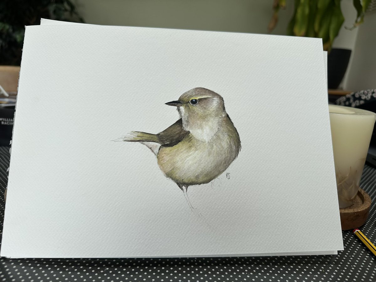 A happy Easter ChiffChaff. I haven’t painted one for a while, but I hear them constantly in trees outside my dining room / painting room.