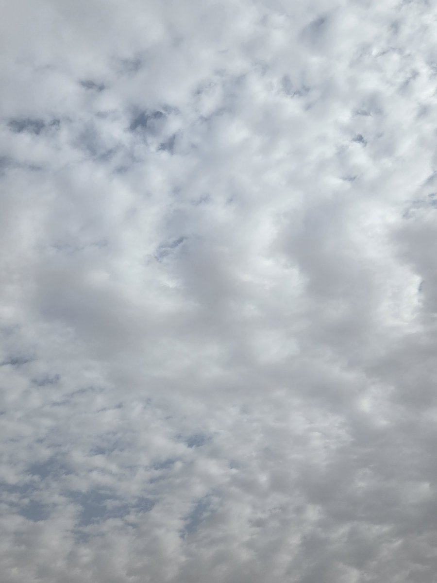 RehamMan2's tweet photo. صباح الخير يا دُنيا ☁️💕 https://t.co/AdLf0H1fmz