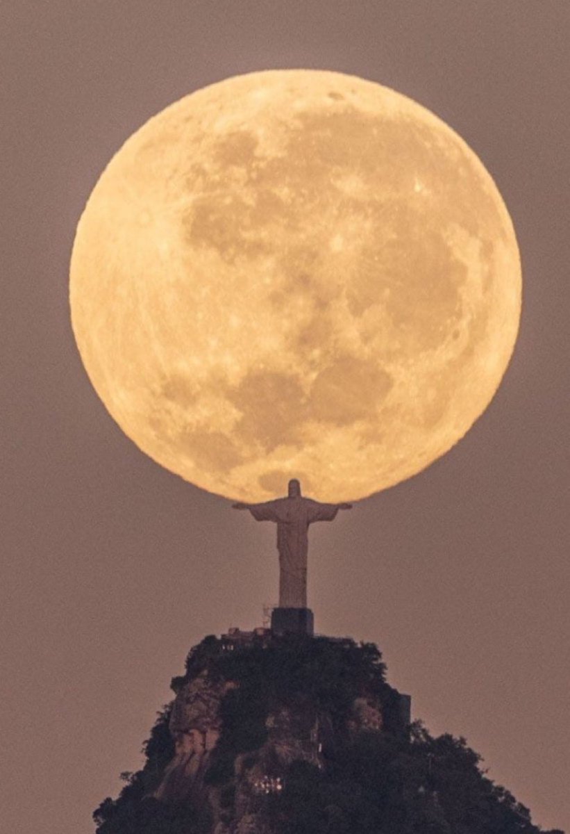 Happy Easter. HE is Risen Christ is absolutely King