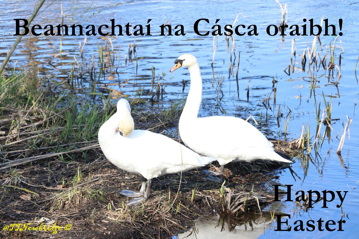 TTNewbridge's tweet image. Wishing all a happy Easter!
Beannachtaí na Cásca oraibh!

If you cannot #reuse #EasterEgg packaging for arts &amp;amp; crafts projects – don’t forget to compress, fold &amp;amp; flatten the packaging &amp;amp; where possible ensure you #recycle via your recycling bin.

@MyWasteIreland
@RepakRecycling