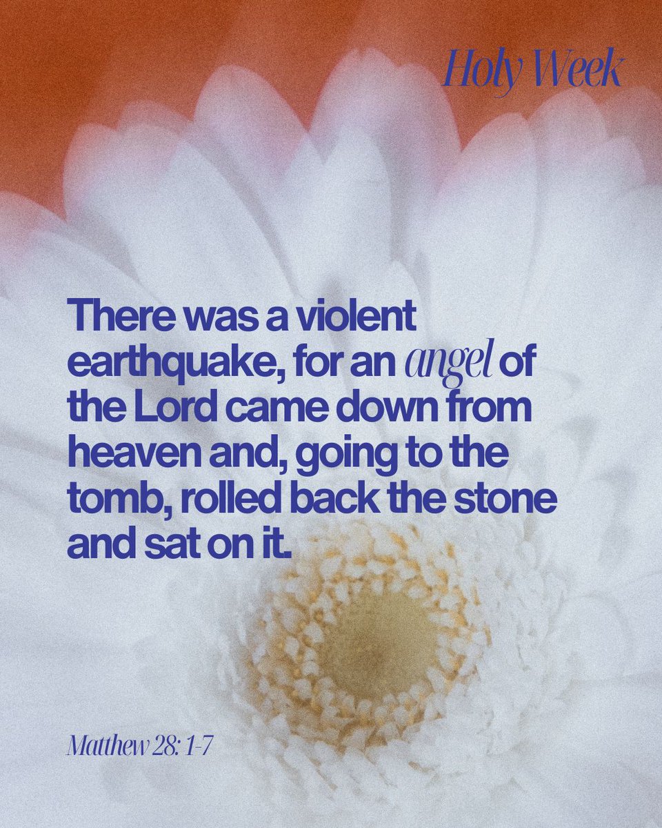C7Church's tweet photo. HE HAS RISEN and today we CELEBRATE! 

THANK YOU JESUS 🙌 🙌 🙌 https://t.co/xc4LFbUNcY