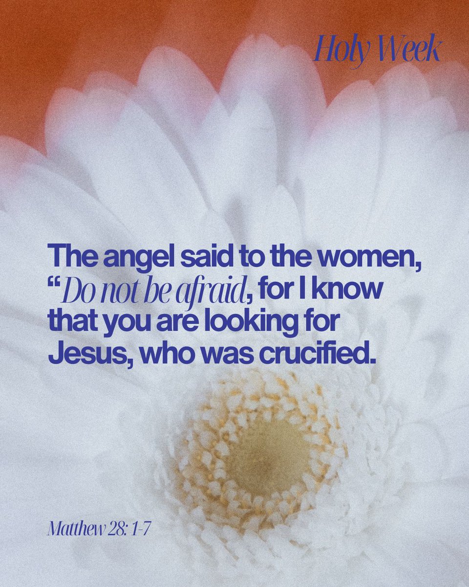 C7Church's tweet photo. HE HAS RISEN and today we CELEBRATE! 

THANK YOU JESUS 🙌 🙌 🙌 https://t.co/xc4LFbUNcY