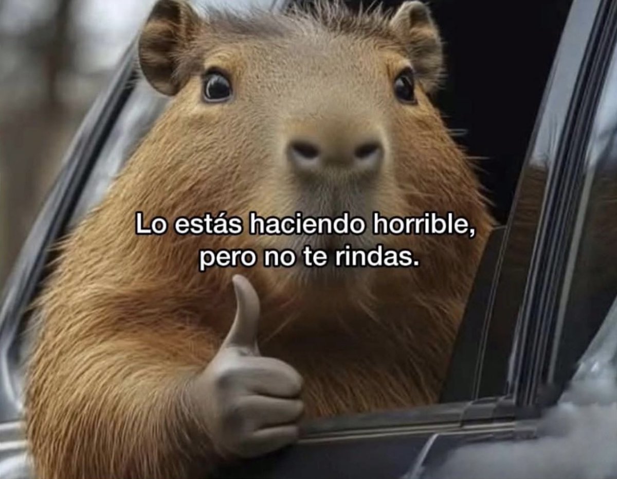 Guarromantico_'s tweet photo. No te rindas. https://t.co/bY3DGuaefa