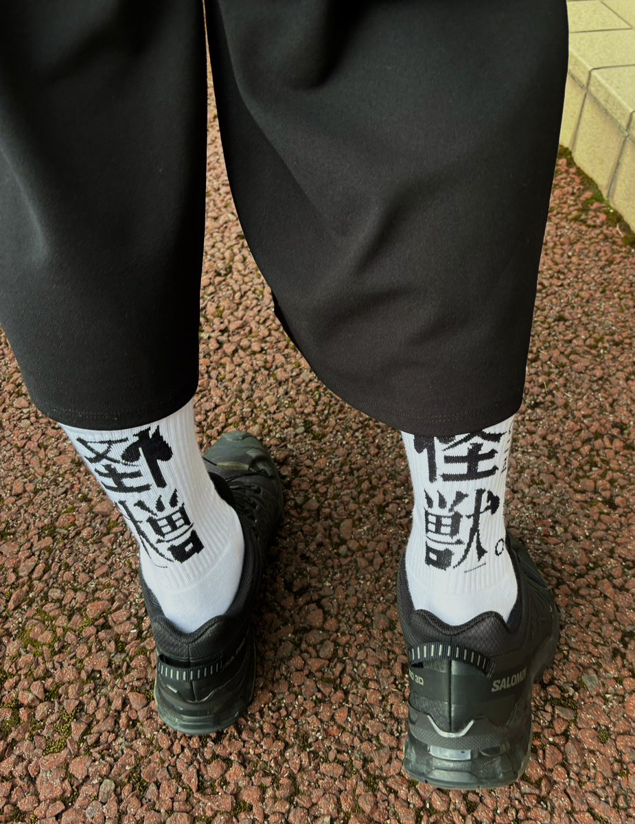 怪獣ソックスで参ります🐟