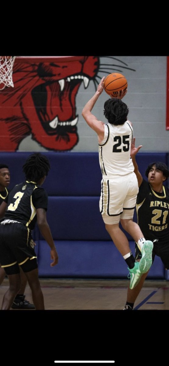 Senior Season Basketball Stats

26 Games played 

Averages 
23 PPG
7.5 RPG
1.6 APG
2.1 SPG

Totals
597 Points 
194 Rebounds 
41 Assists 
55 Steals

Shooting Totals
221 FGM
44 3PM
111 FTM

Shooting Percentages
45 FG%
33 3P%
78 FT%