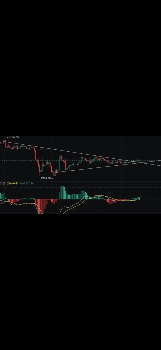 根币出圈 tweet media