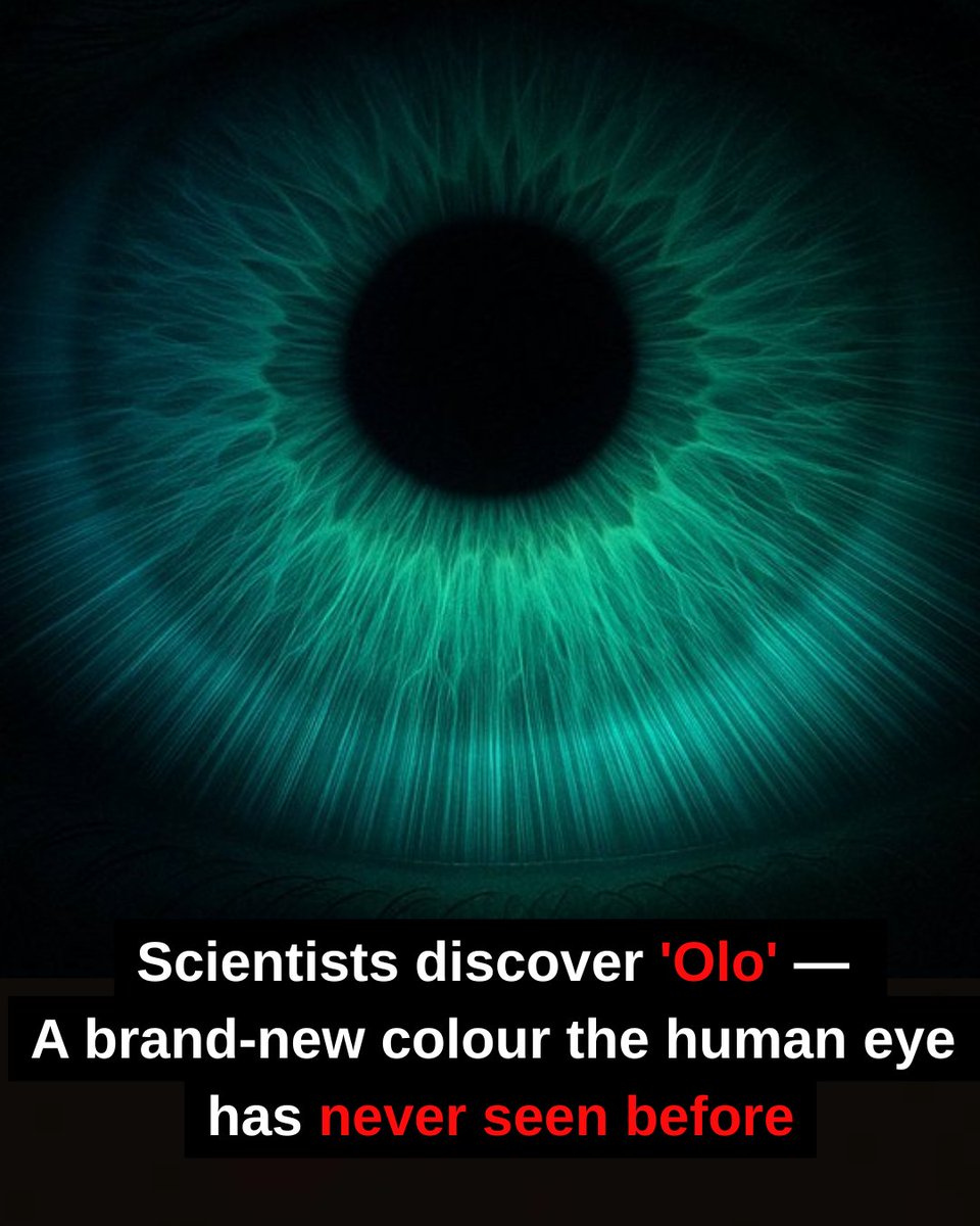 Calcutta_Times's tweet image. Scientists have unlocked a color beyond our natural vision—introducing 'olo', a mesmerizing blue-green hue experienced through direct retinal stimulation. This isn't just a new shade; it's a whole new way of seeing!
#NewColour #VisualPerception #Science #news
