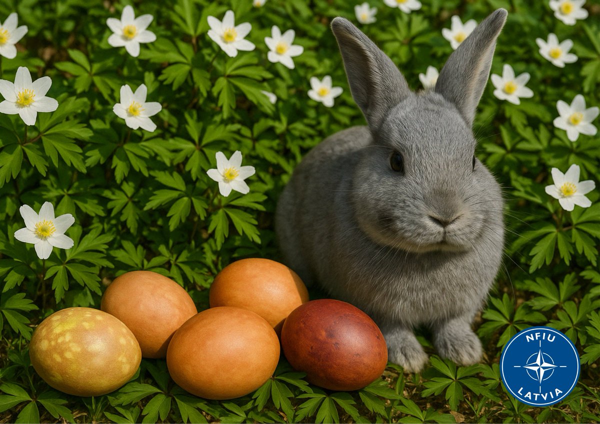 NATO NFIU Latvia (@nfiu_latvia) on Twitter photo 🐣 Happy Easter from the NATO Force Integration Unit in Latvia!
We stand united with our Allies, committed to peace, resilience, and cooperation.
#Easter2025 #NFIULatvia #NATO #StrongerTogether <a href="/NATOJFCBS/">NATO Allied Joint Force Command Brunssum - JFCBS</a> 🐣 Happy Easter from the NATO Force Integration Unit in Latvia!
We stand united with our Allies, committed to peace, resilience, and cooperation.
#Easter2025 #NFIULatvia #NATO #StrongerTogether <a href="/NATOJFCBS/">NATO Allied Joint Force Command Brunssum - JFCBS</a>
