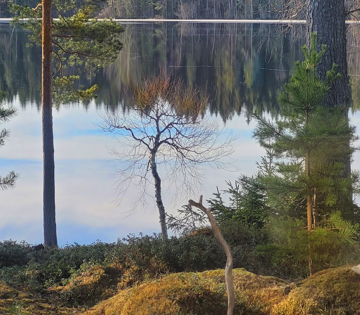 Timo Määttä tweet media