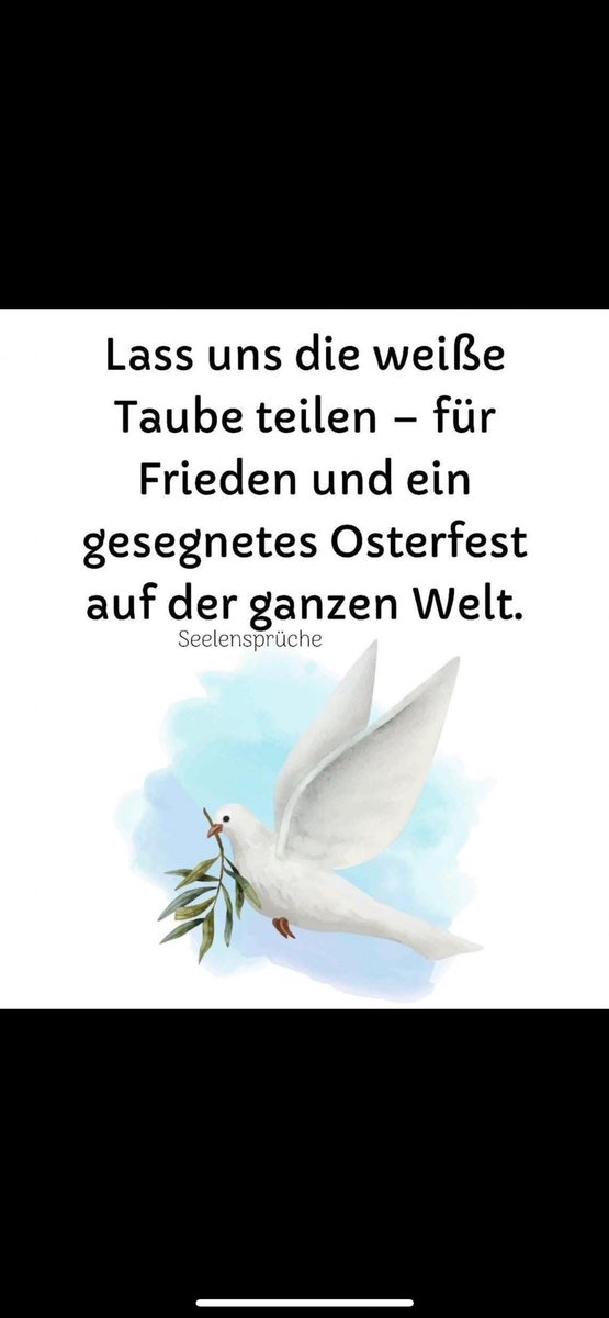 Wünsche euch allen ein wunderschönes Osterfest ☘️🐰🐓🌼🌸🐣🪺