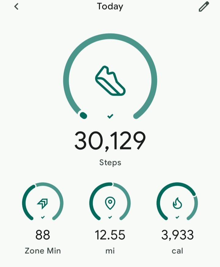 SpookiSkeletonz's tweet photo. idk how people do this every day. I'm barely alive, and it took forever. https://t.co/BwyDuDpBzL
