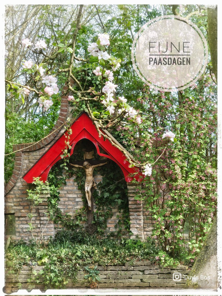 DuylsBos's tweet photo. Fijne Paasdagen gewenst voor iedereen 🌿
We hebben op onze website een mooi Paasverhaal voor je klaar staan: https://t.co/Ieeawz7G8L
Tip: wij zijn deze dagen tussen 11u en 16u geopend voor bezoekers 👀📸 #welkom!
#paasdagen #fijnepaasdagen #bezoek #uittip #genieten #gratistoegang https://t.co/WH3mdrUbSg
