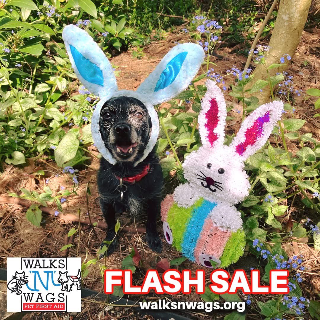 🐰EASTER WEEKEND FLASH SALE! 🐰

This Easter weekend receive 25% off any independent online Pet First Aid course option at walksnwags.org  

Use coupon code EASTER25 at checkout.

Sale ends at 11:59pm PDT on Mon April 21, 2025. 🐣

*Instructor Course excluded from offer