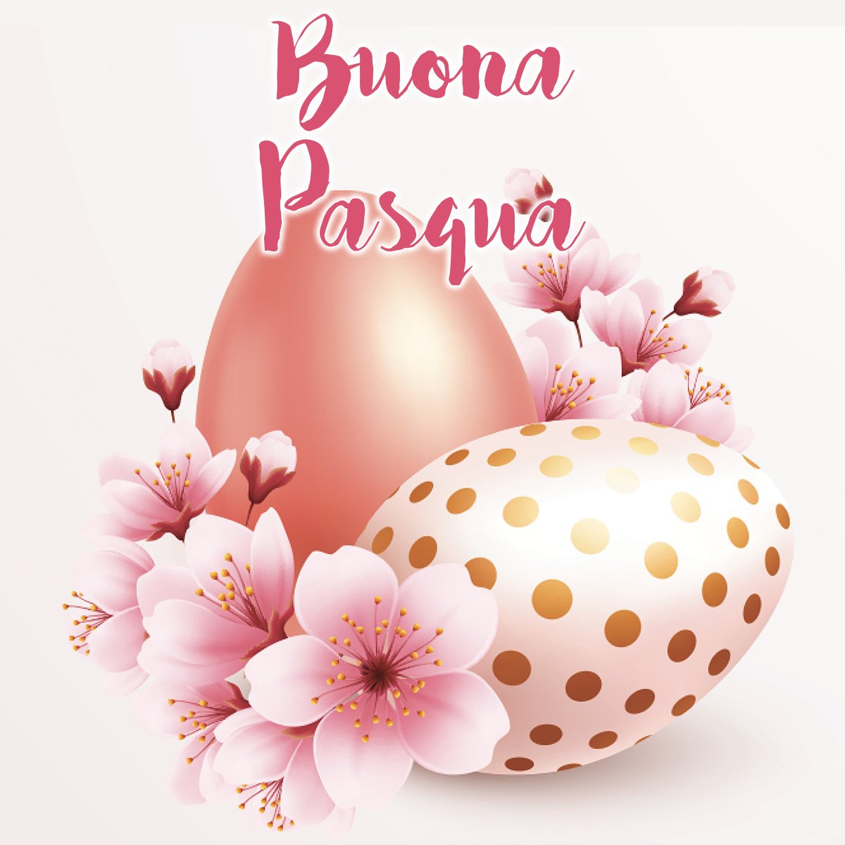 mjlara7's tweet photo. Buona Pasqua a tutti voi! Che sia un giorno pieno di pace, luce e serenità! 🕊️🐣🥰
#BuongiornoATutti
#BuonaPasqua https://t.co/NQKt5AAvIE