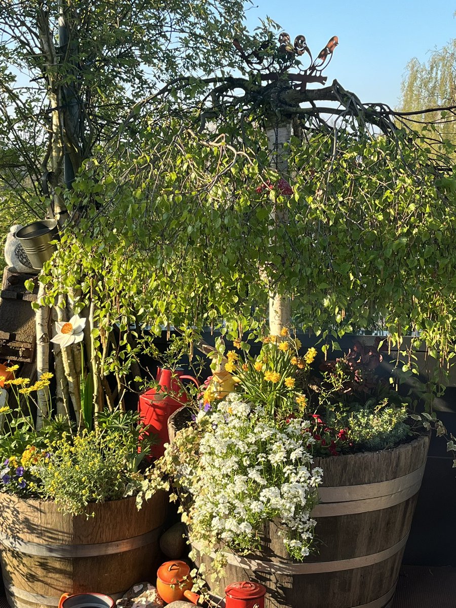 Allen Frohe Ostern 🌷🐣🙋‍♂️