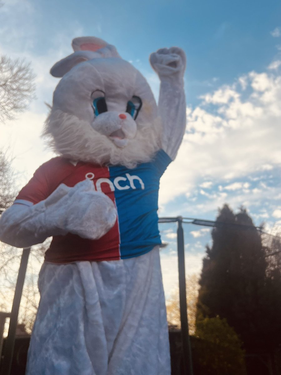 Donna Mentesh tweet media