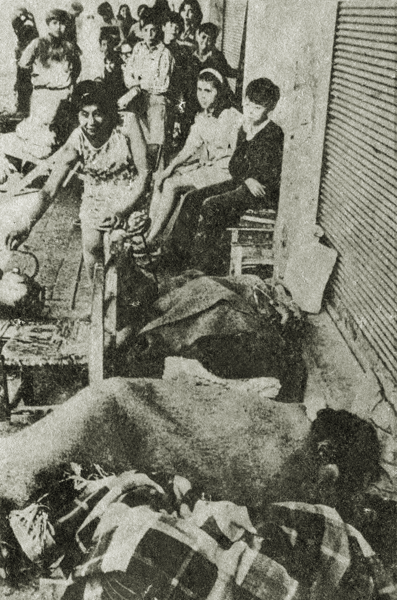 Durante el gobierno de la UP, muchos niños chilenos vivieron una infancia marcada por la escasez y el miedo. Mientras el país colapsaba, ellos pagaban el precio de una crisis que no entendían, asumiendo una carga que nunca les correspondió.