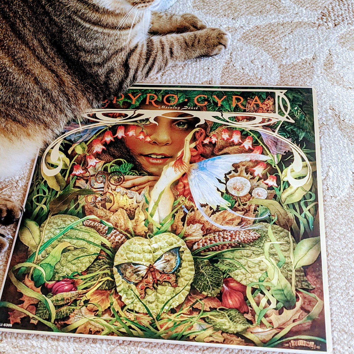 FreeRidestweet's tweet image. 午後のひととき…#ネコズ と一緒に #SPYRO・GYRA の『#MORNINGDANCE』を聴いてくつろいでます。軽やかな #ブラジリアン リズムに乗って唄う軽やかな #アルトサックス の調べ。今の季節にピッタリかな。虫がいっぱいのジャケットも #オギノメ虫倶楽部 的でかわいいです。