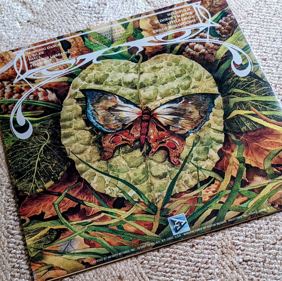 FreeRidestweet's tweet image. 午後のひととき…#ネコズ と一緒に #SPYRO・GYRA の『#MORNINGDANCE』を聴いてくつろいでます。軽やかな #ブラジリアン リズムに乗って唄う軽やかな #アルトサックス の調べ。今の季節にピッタリかな。虫がいっぱいのジャケットも #オギノメ虫倶楽部 的でかわいいです。