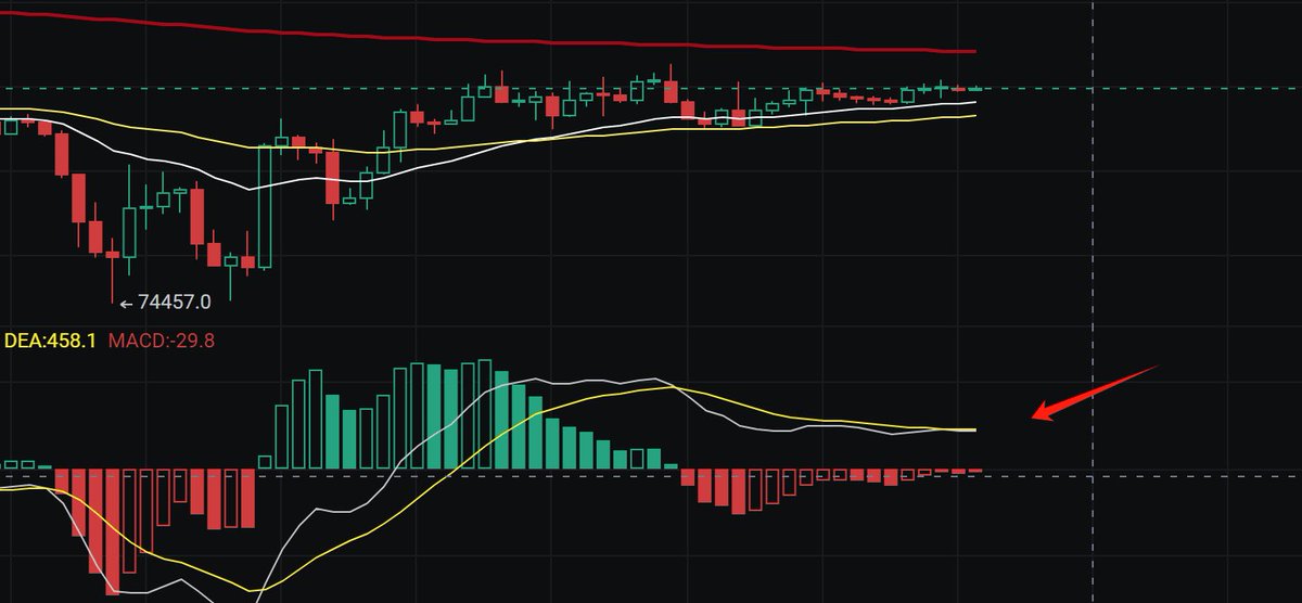 根币出圈 tweet media