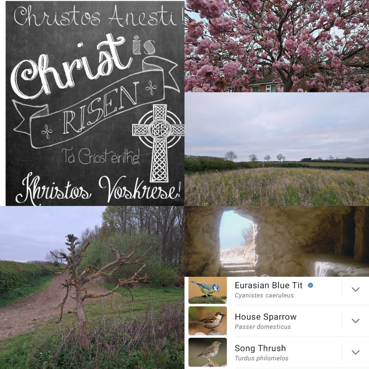 Alleluia! Christ is risen! He is risen indeed! Alleluia! <a href="/leicestercofe/">Diocese of Leicester</a>