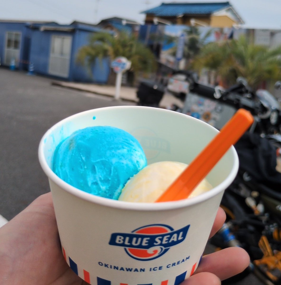 FromageMikan's tweet image. おやつにしましょう。
BLUESEALアイス🥰

#W乗り甘味部
#ソフトクリーム友の会