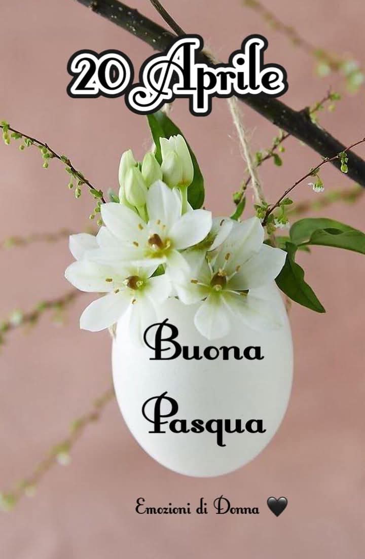BUONA PASQUA A TUTTI