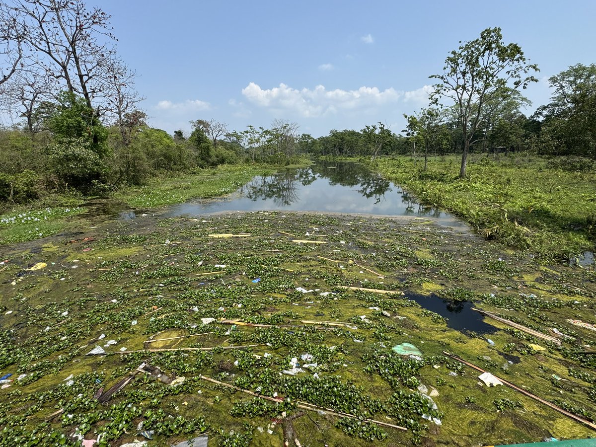ParveenKaswan's tweet photo. Pic 1 : when river enters the forest from human habitat. 

Pic 2 : when river enters human habitat from forest. 

Spot the difference. https://t.co/HnyhcoyEDo