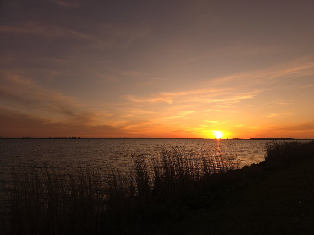 elsv62's tweet photo. Goedemorgen,  fijne paasdagen https://t.co/21Jna8CFfx