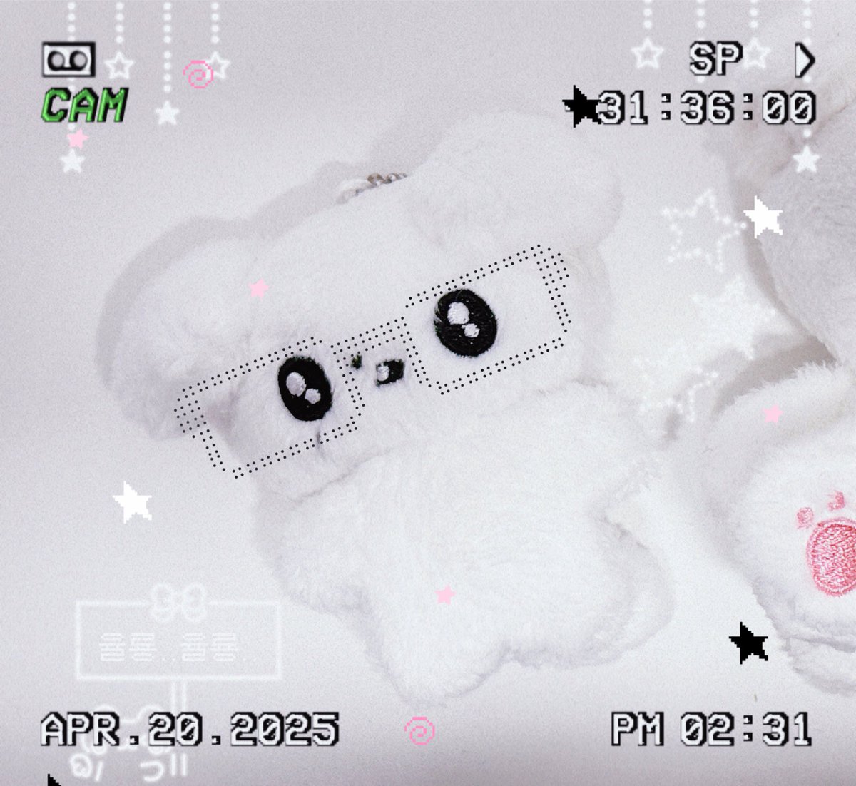 joyuri_is_puppy's tweet image. (◍•ᴗ•◍)