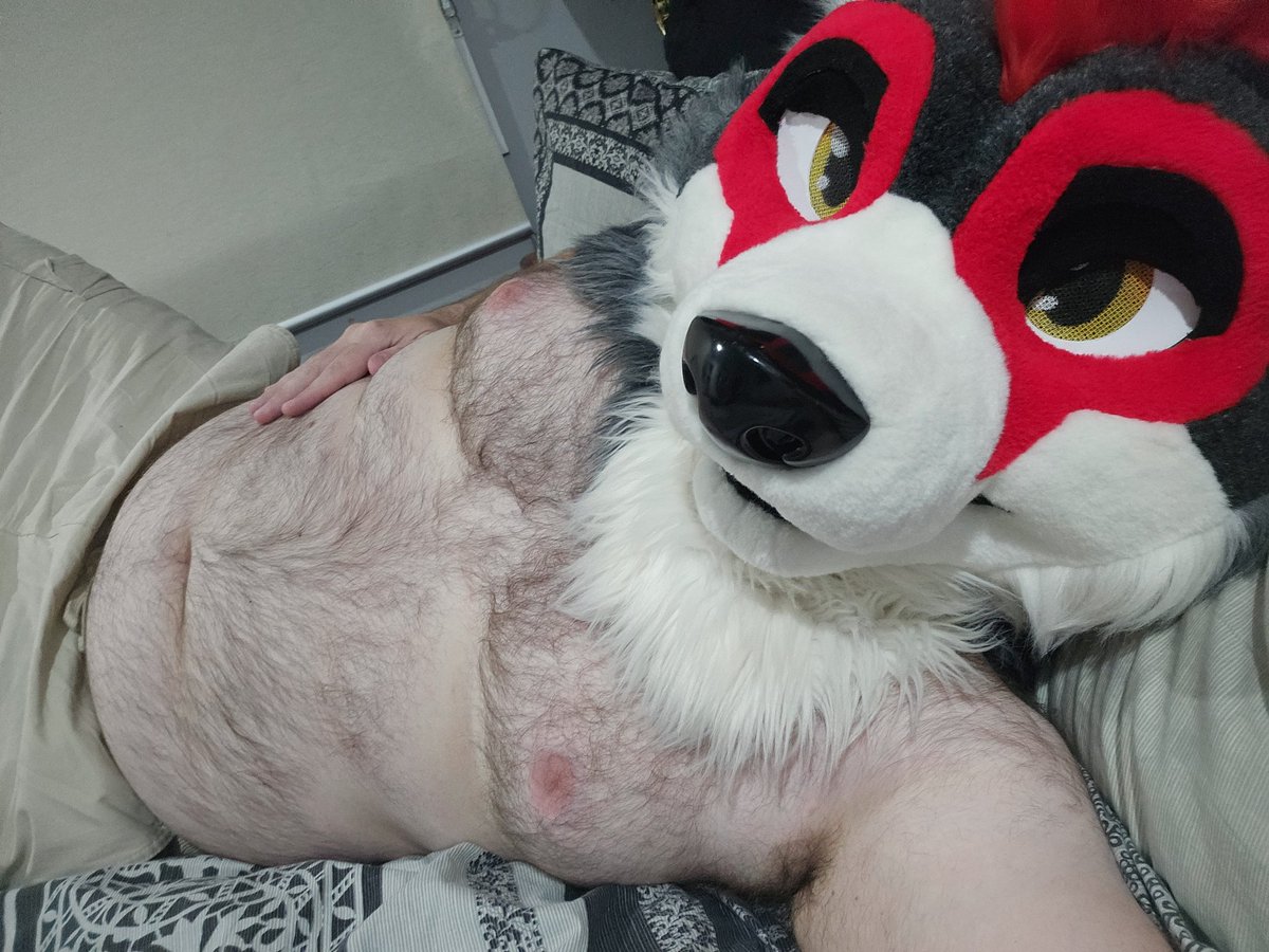 This boyo is just dumb and horny 😮‍💨 

(bonus points if you wanna rub my belly)
