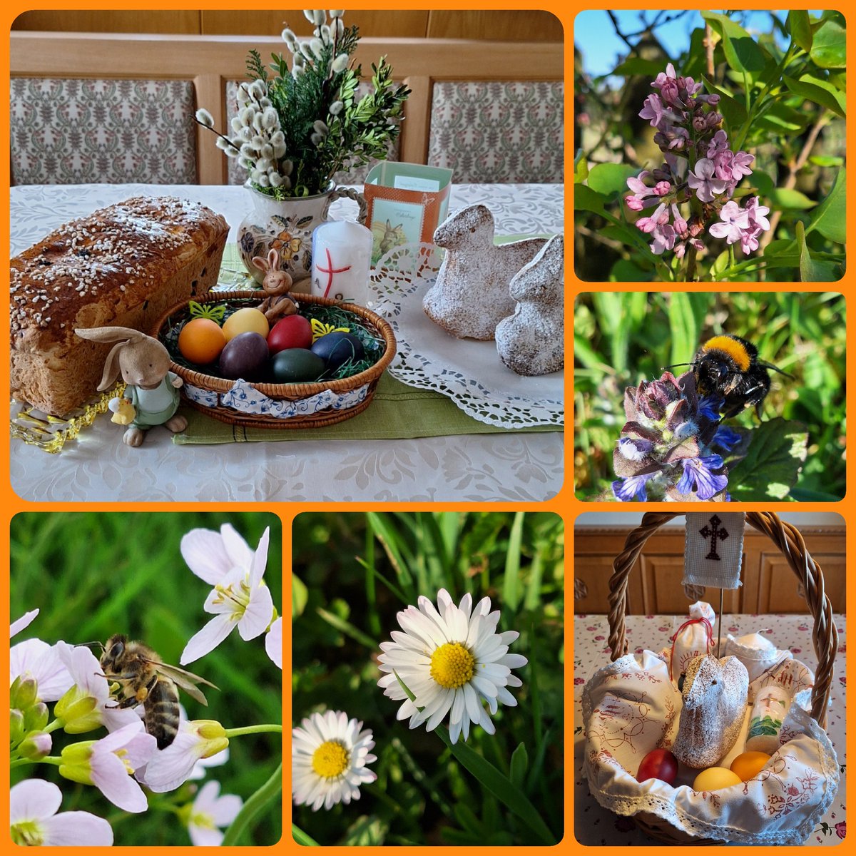 Guten Morgen. 
Ich wünsche euch ein wunderschönes und gesegnetes Osterfest 🌿🌸🐰🐣🌺☀️🌿🕊! 

#HappyEaster2025 #Easter