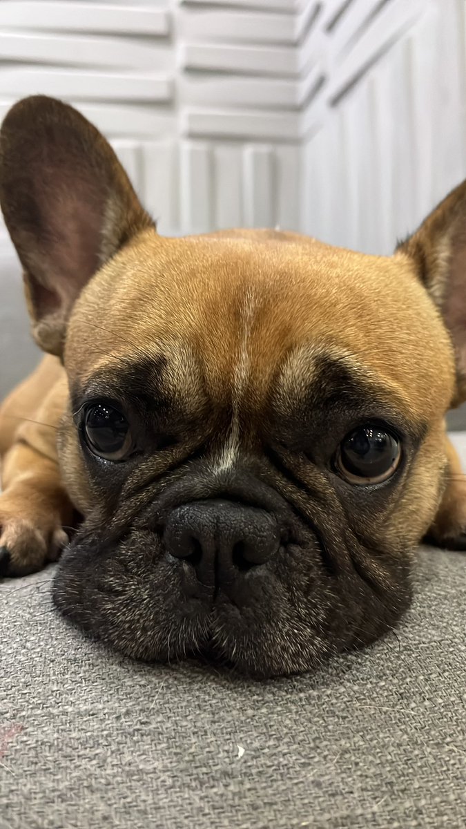 te amo mucho nala, eres mi vida